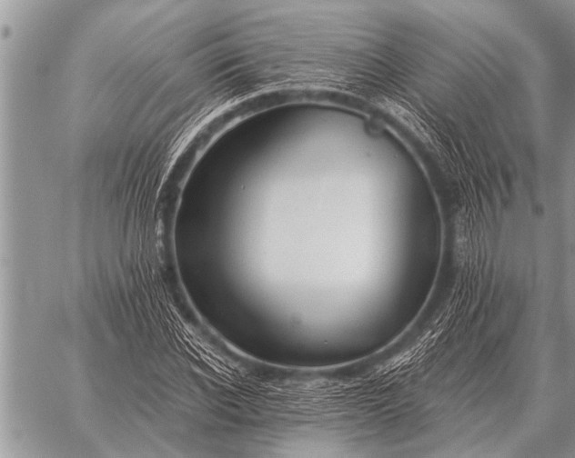 X0000059040926200510171845