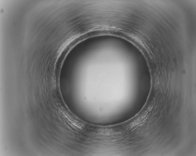 X0000059040927200510171845