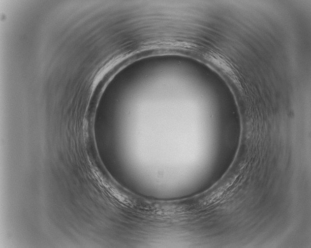 X0000059040928200510171845