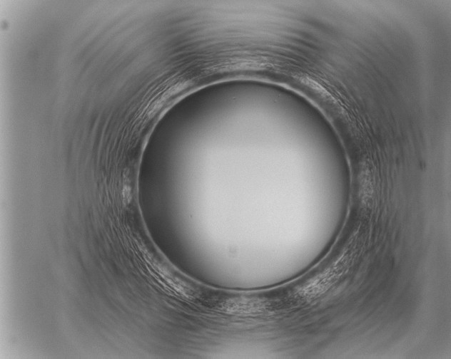 X0000059040929200510171845