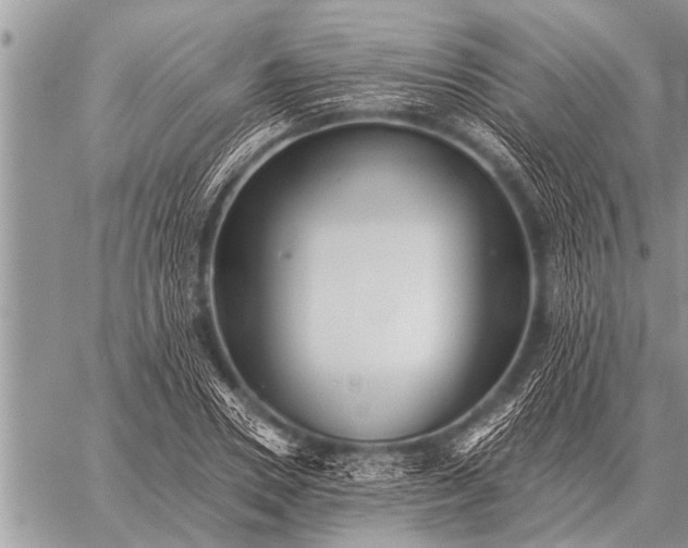 X0000059040930200510171845