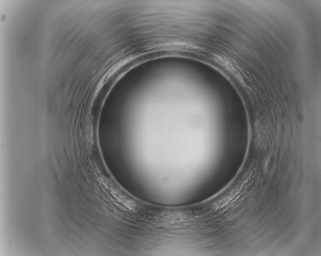 X0000059040931200510171845