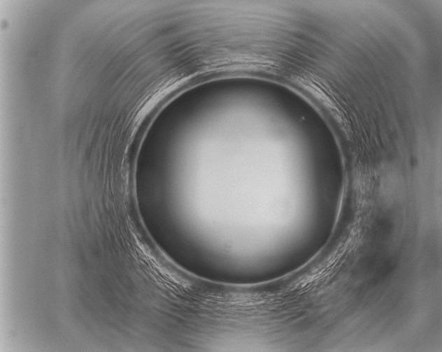 X0000059040933200510171845