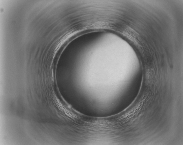 X0000059040934200510171845