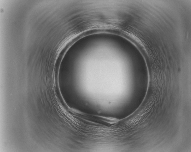 X0000059040935200510171845