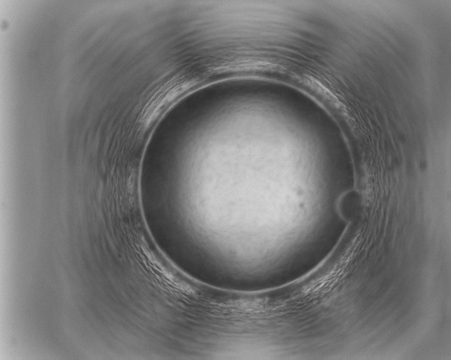 X0000059040937200510171845