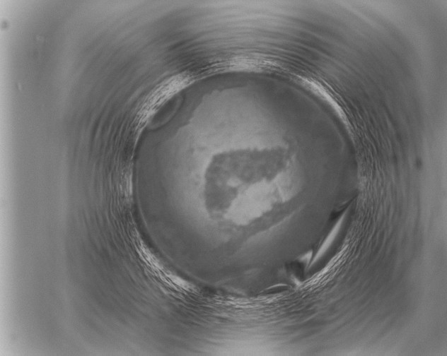 X0000059040938200510171845