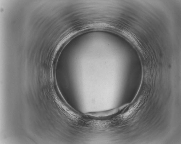 X0000059040939200510171845