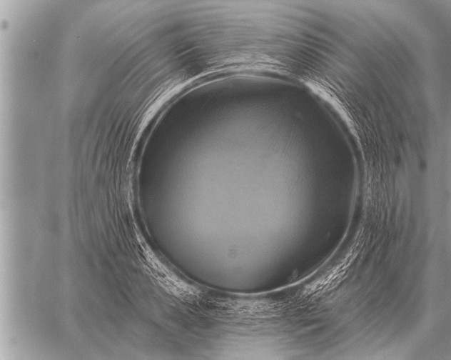 X0000059040941200510171845