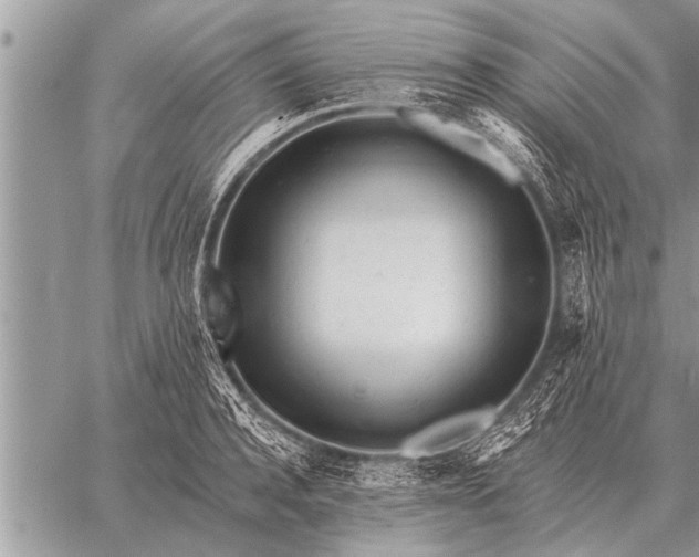 X0000059040944200510171845