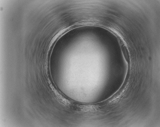 X0000059040949200510171845