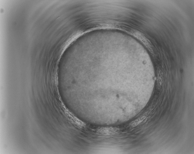 X0000059040950200510171845