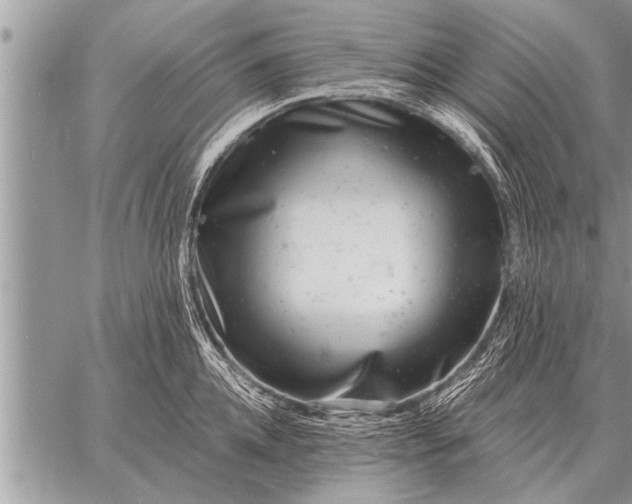 X0000059040952200510171845