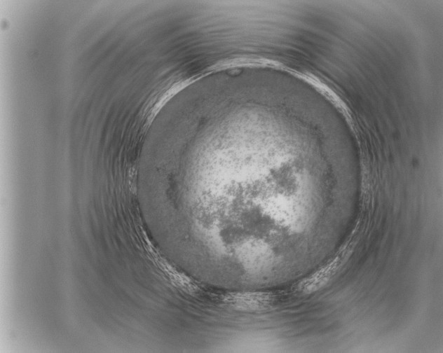 X0000059040953200510171845