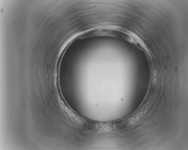 X0000059040955200510171845