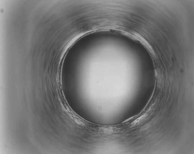 X0000059040956200510171845