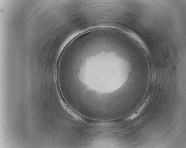 X0000059040958200510171845