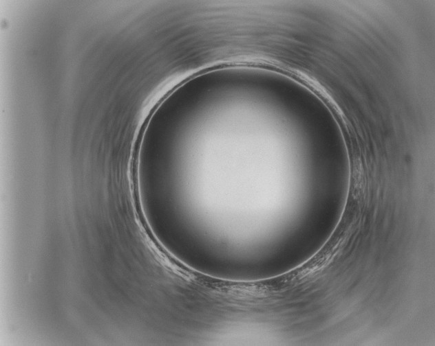 X0000059040959200510171845