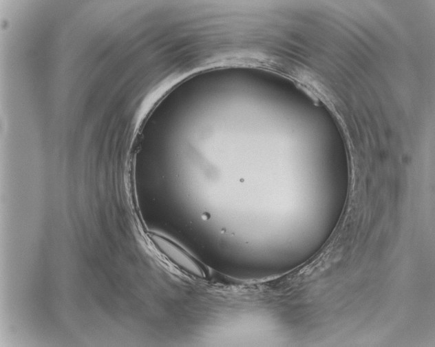 X0000059040960200510171845