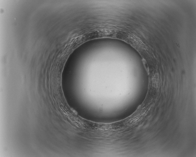 X0000059040961200510171844