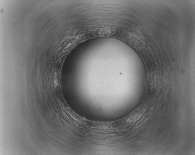 X0000059040962200510171844