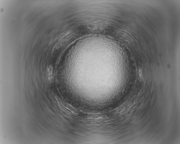 X0000059040963200510171844