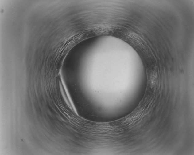 X0000059040964200510171844