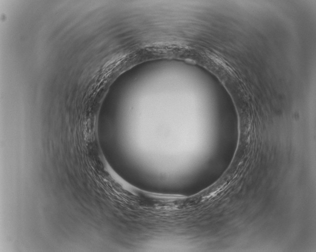 X0000059040965200510171844