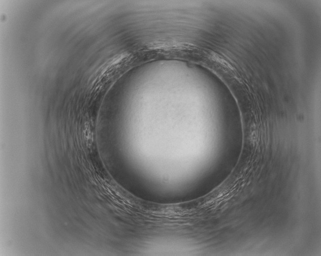 X0000059040966200510171844