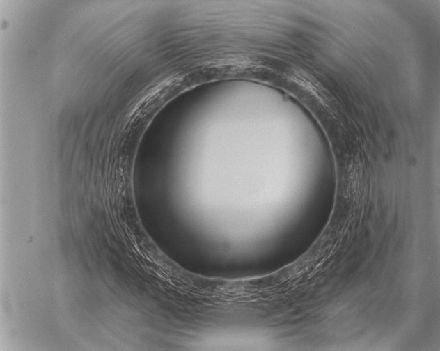 X0000059040967200510171844