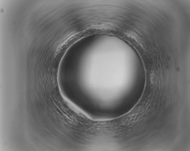 X0000059040968200510171844