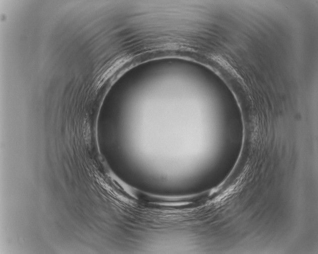 X0000059040969200510171844