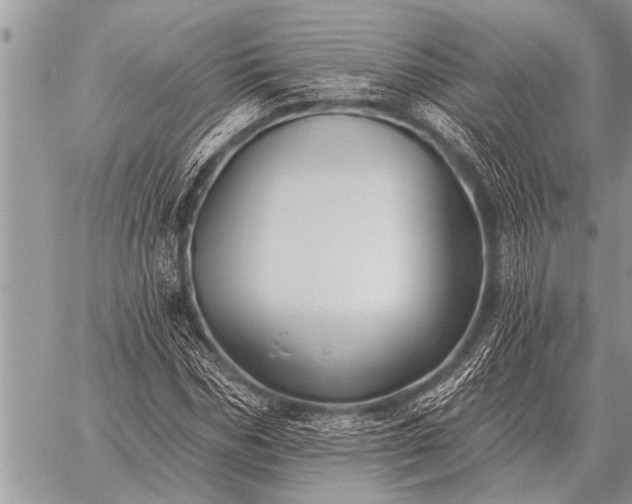 X0000059040970200510171844