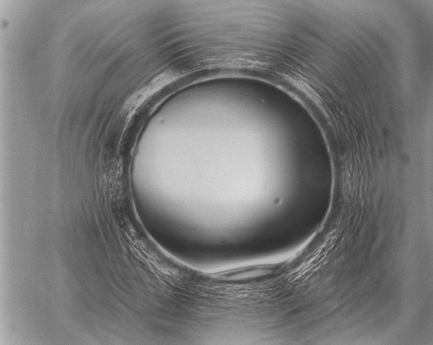 X0000059040971200510171844