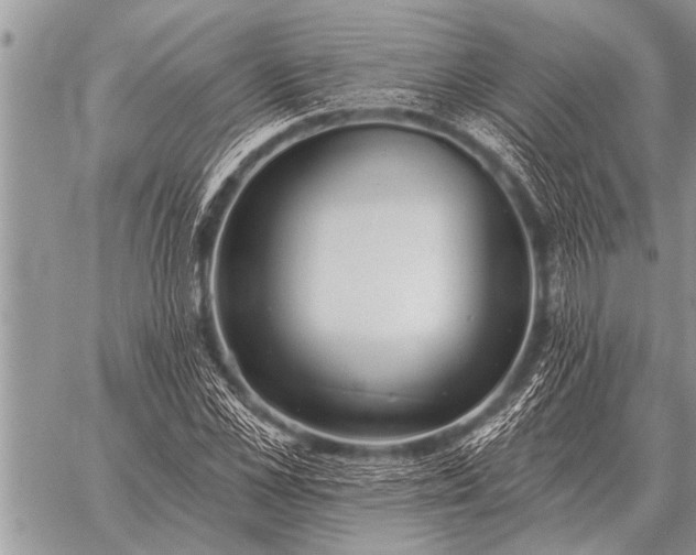 X0000059040973200510171844