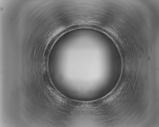 X0000059040974200510171844