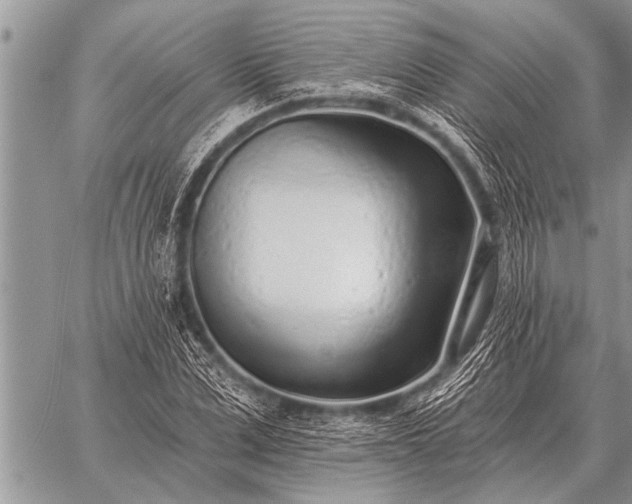 X0000059040975200510171844