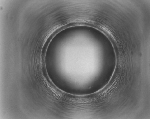 X0000059040976200510171844