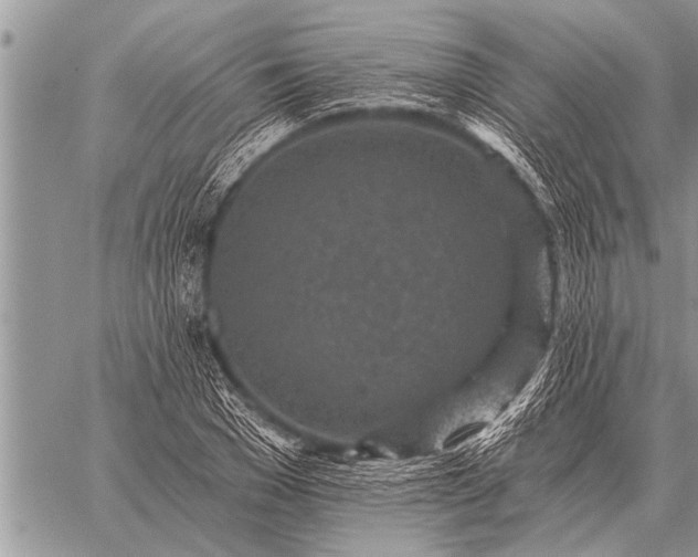 X0000059040977200510171844