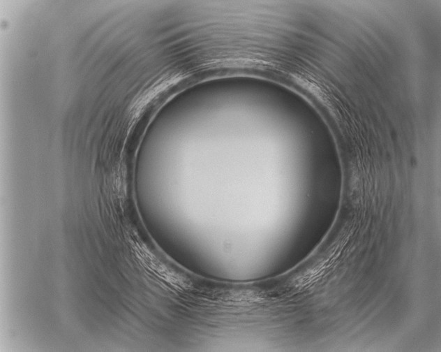 X0000059040979200510171844