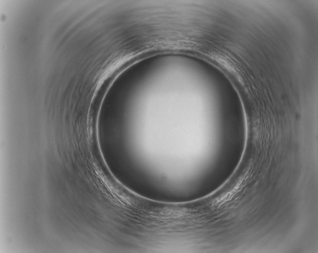 X0000059040981200510171844