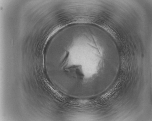 X0000059040982200510171844