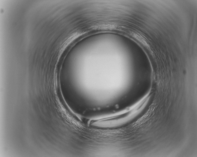 X0000059040984200510171844