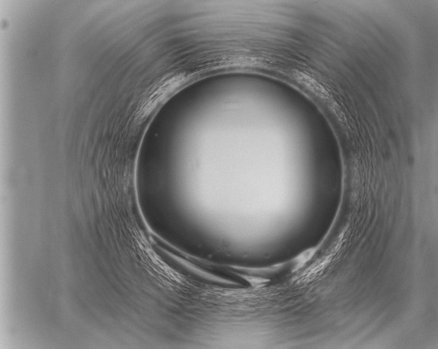 X0000059040985200510171844