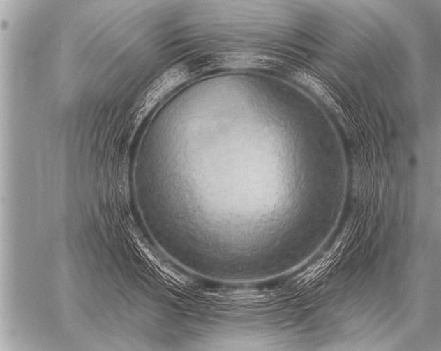 X0000059040986200510171844