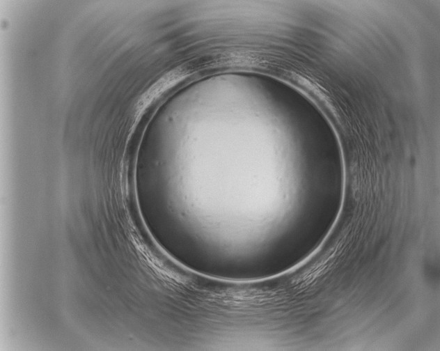 X0000059040987200510171844