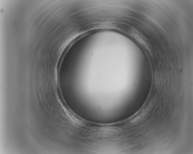 X0000059040988200510171844