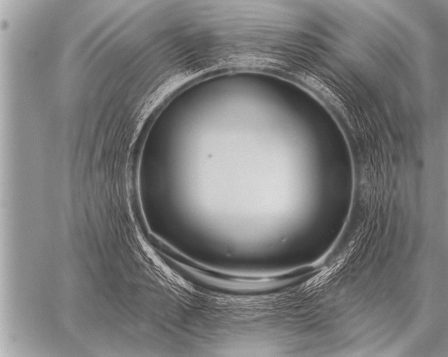 X0000059040989200510171844