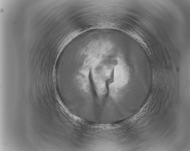 X0000059040990200510171844