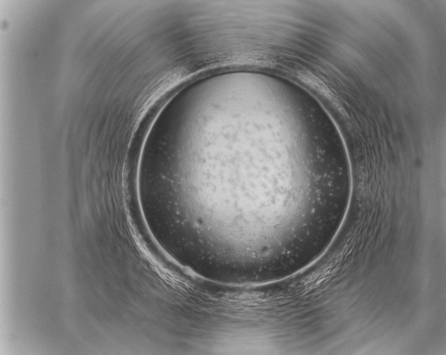 X0000059040991200510171844